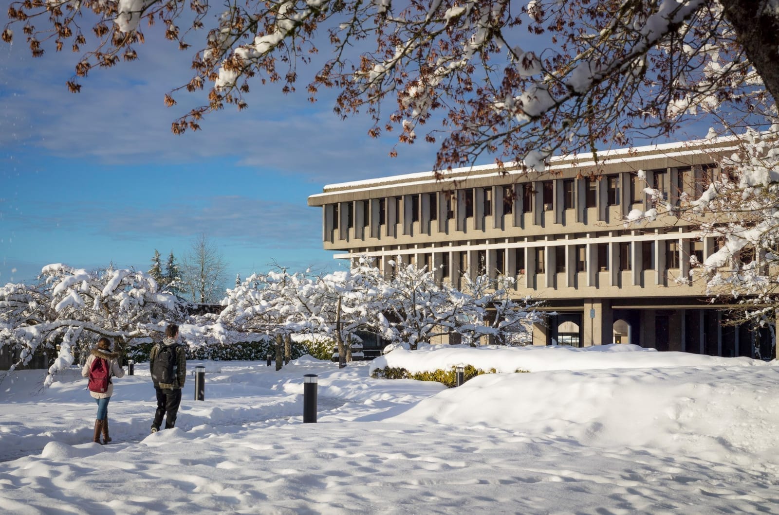 What the Burnaby Mountain Holds: SFU in Winter